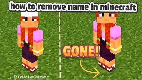 How to hide | turn off | players name gamertag in minecraft in 2024 guide hints and tips