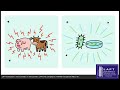 LAPT_Videos/English/CBSE/CBSE Academic/Class 12/Biology/Chapter 10 — Biotechnology and Its Applicati