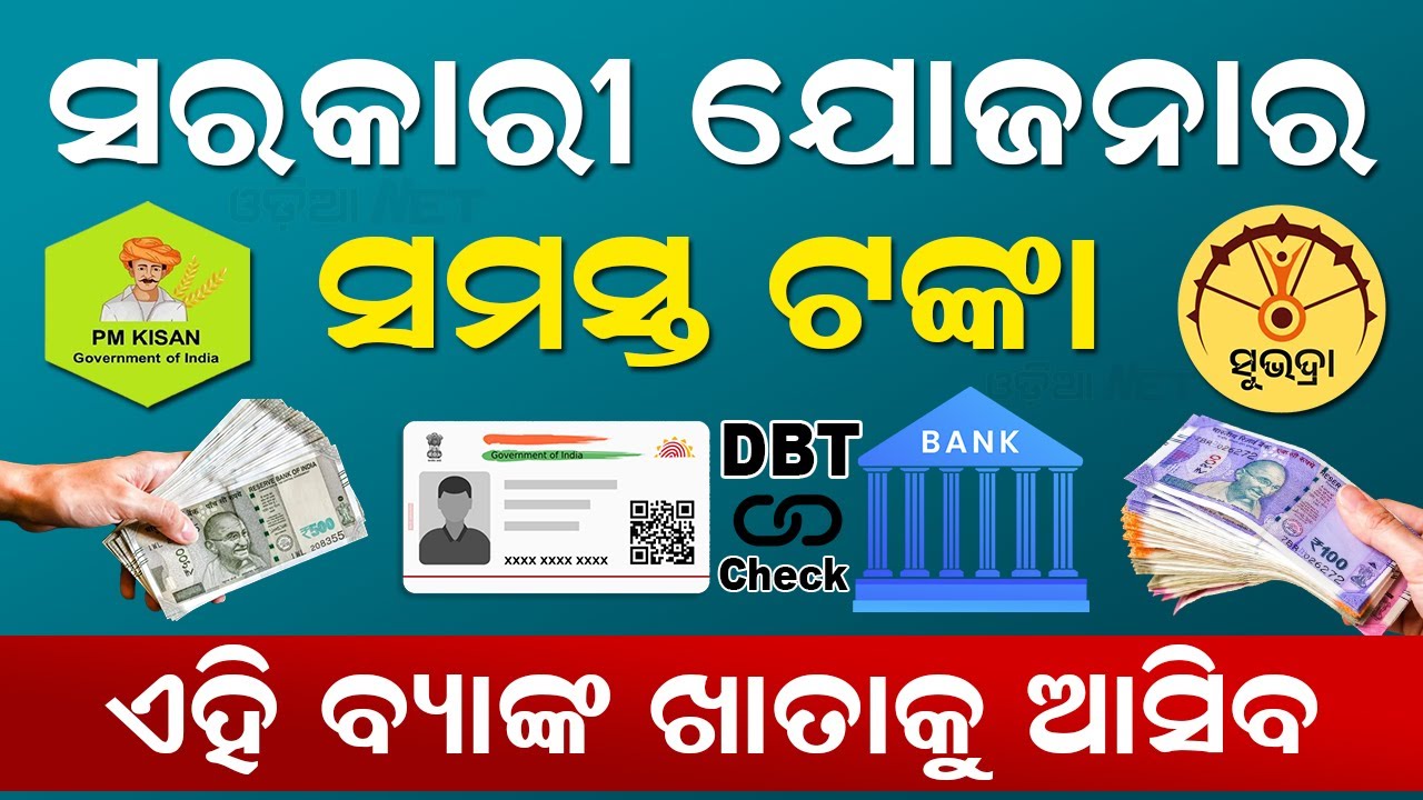 CM Kisan, PM Kisan & Subhadra Yojana DBT Link Bank Check Online | How To Check DBT Linked Account