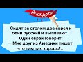 Сборник анекдотов для настроения! Смех! Юмор! Позитив!