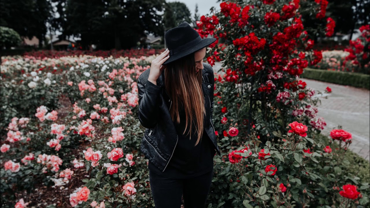 Michael Witt-Late Rose