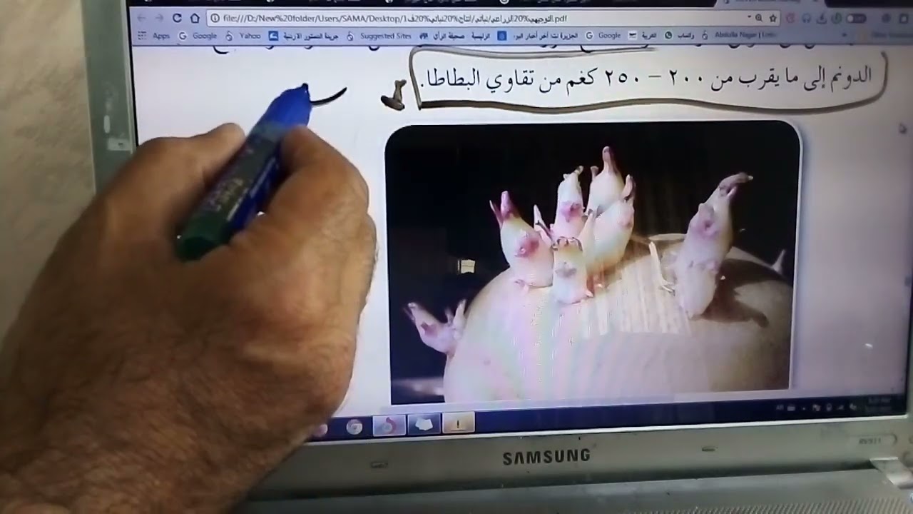 الانتاج النباتي - الفصل الاول - التوجيهي الزراعي الاردني - البطاطا 2