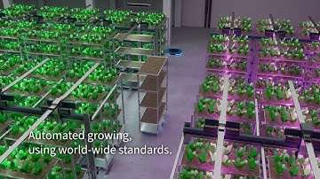 Avisomo logistics automation