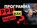 Программа PPP (Paycheck Protection Program) как и где подать документы