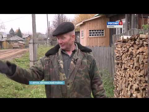 Чудо-повозка: Юрлинский Кулибин создал гибрид мотоблока и автомобиля