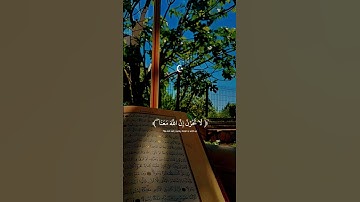 اكتب شيء تؤجر عليه 🤍 || تلاوة خاشعة للقارئ عبد الرحمن مسعد #quran #عبدالرحمن_مسعد #راحة_نفسية
