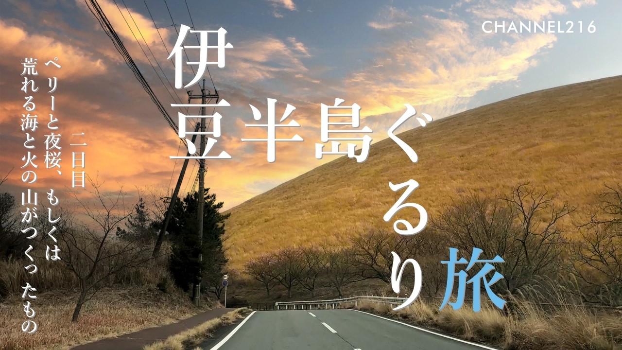 【伊豆半島ぐるり旅】伊豆半島一周ドライブ｜二日目　ペリーと夜桜、もしくは荒れる海と火の山がつくったもの