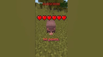 EVERYTHING about the Armadillo in Minecraft! #armadillo #mobvote
