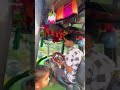 Buker vitor thaiko bondhu jayona dure 😘❤️ #song #sad #viral #love #viralvideo #shorts