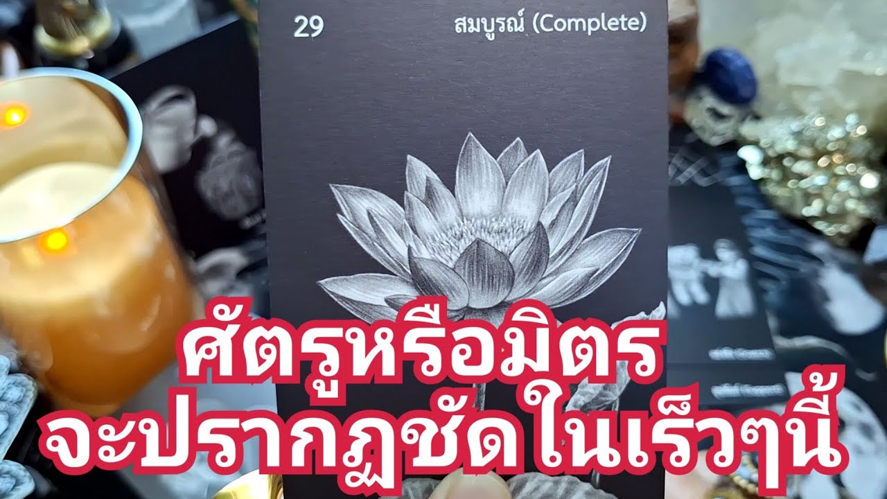 🌈✨️ ศัตรูหรือมิตรจะปรากฏชัดในเร็วๆนี้✨️🌈#ไพ่ทาโรต์ #ไพ่ยิปซี #แม่หมอชุลีกร #ดูดวงไพ่ยิปซี 