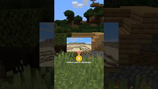 лучший биом в #minecraft / #майнкрафт #lifehacks  #рекомендации #постройки #баг  #shorts #тикток