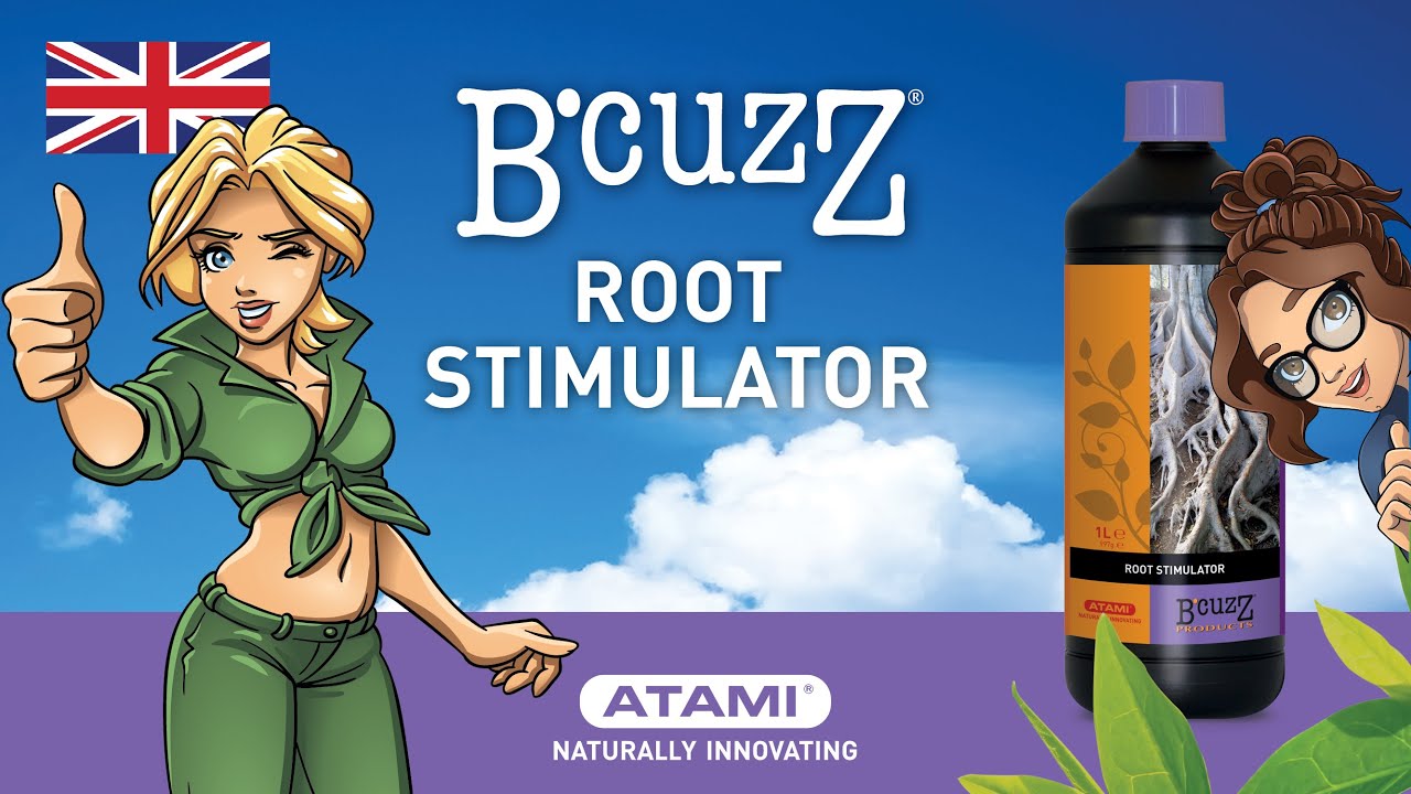 Bcuzz Root Stimulator  Animation EN