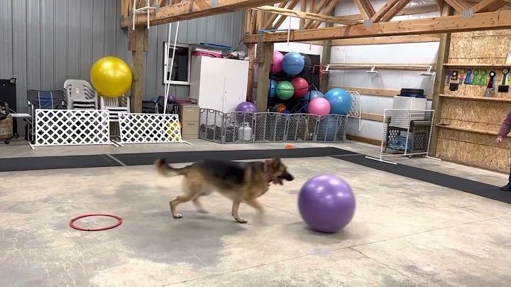 Tracy Gorham And Xada Nate skill level 1 push test