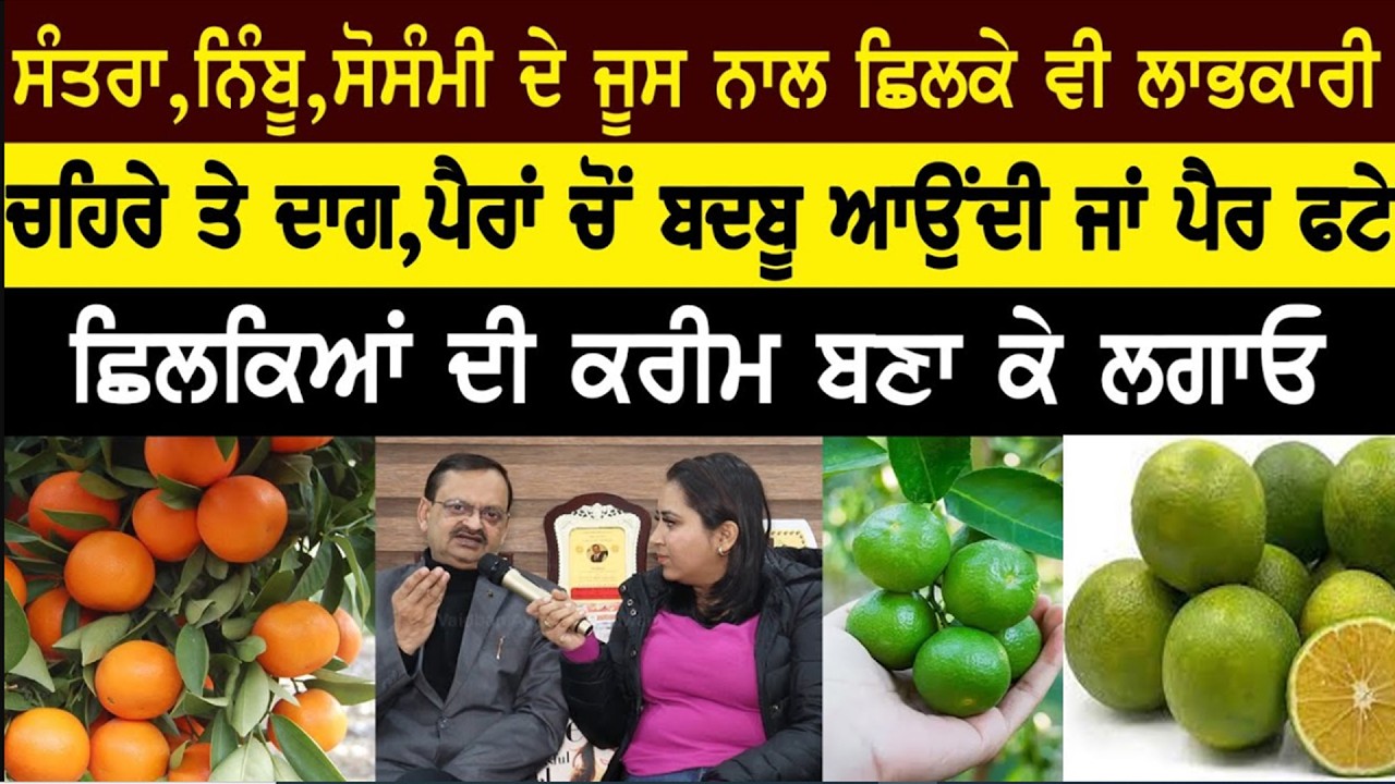 ⁣Orange, lemon, Mosambi Health Benefits   Subash Goyal   @subhashgoyal9438