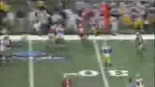 LSU Tigers 2007 BCS National Champions Tribute