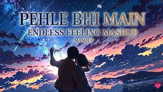 Pehle Bhi Main - Endless Feeling Mashup❤️