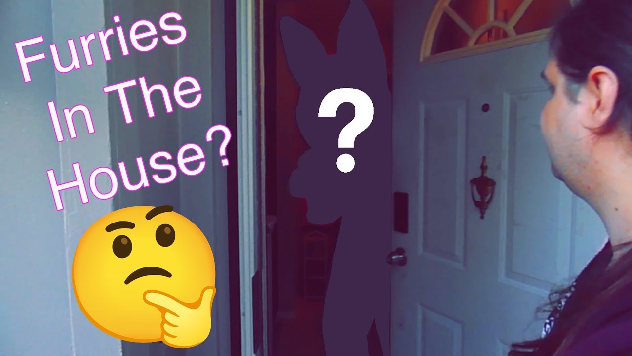 EPIC Furry House Tour [Not Awkward At All]