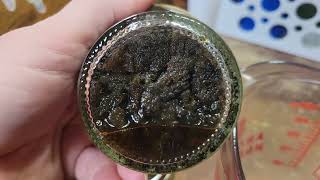 Straining mullein tincture for use!