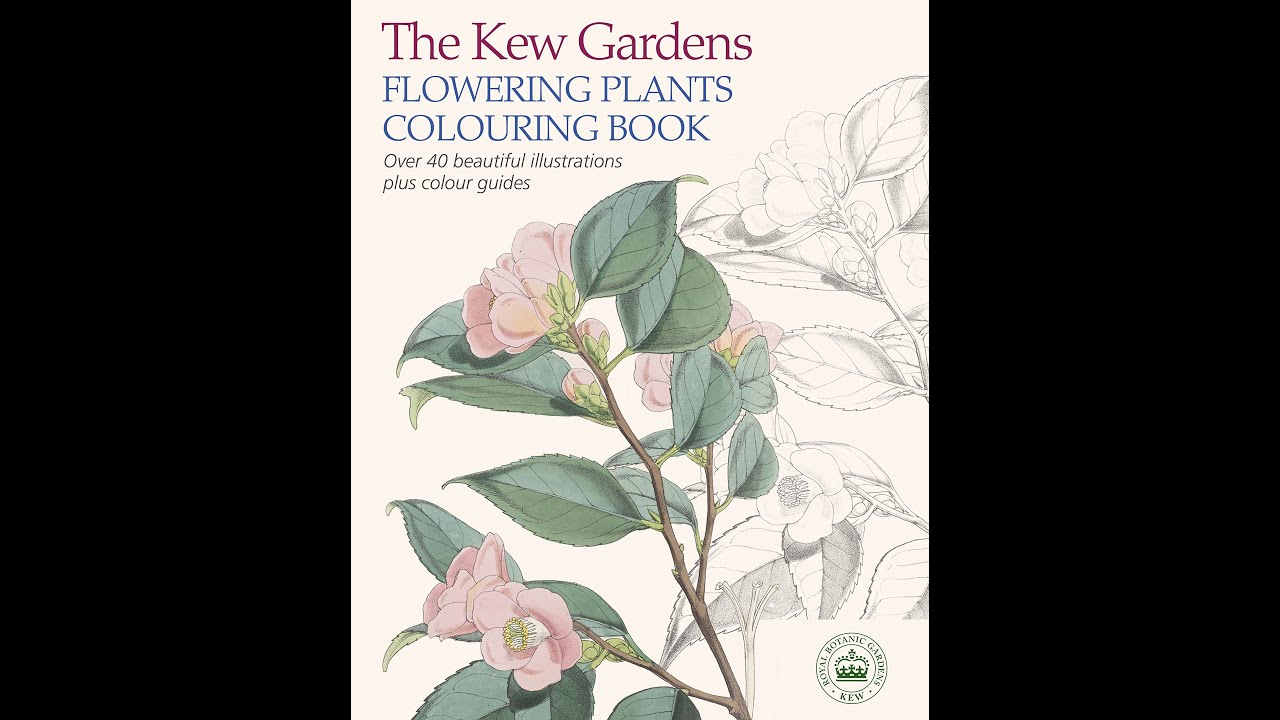 Flip Through The Kew Gardens Flowering Plants Colouring Book - YouTube