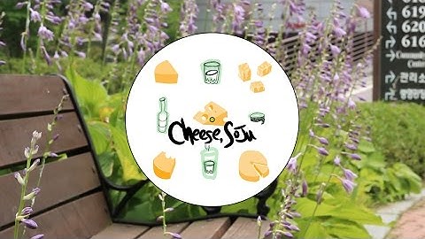 Joel Compass - No Last Kiss