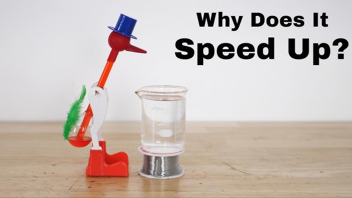 Discover the Fascinating Science Behind the Timeless Drinking Bird Toy 