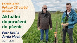 Aktuální zásahy do pšenic na přelomu dubna a května 2024 | Farma Král | Petr Král a Jarda Mach