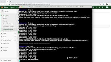 Dependency Proxy for containers. v11.11 (no sound)