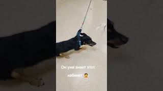 мой малыш не хочет лечиться!