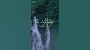 قرآن الكريم سورة يوسف الآية 90The Holy Quran, Surah Yusuf, Verse 90 #قران_كريم #انقذوا_غزة