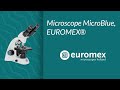 Microscope microblue euromex