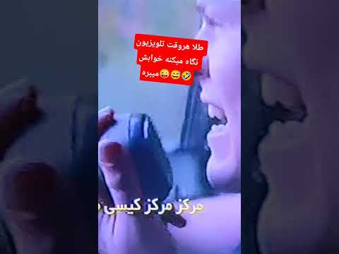 طلا هروقت تلویزیون نگاه میکنه خوابش میبره خخخ  بچه گربه  شلتنا اسکاتیش