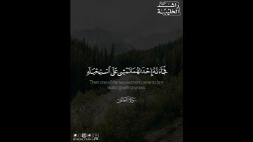 ﴿فجاءته إحداهما تمشي على استحياء ..﴾ | القارئ: راشد الحليبة