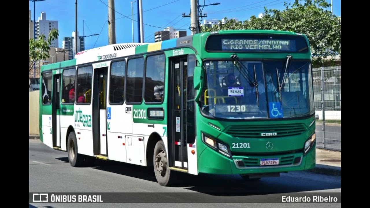 🎧 CAIO APACHE VIP IV MB OF 1724 BT5 NUMERAÇÃO 21201 padrão OT TRANS (linha:1143) áudio repostado