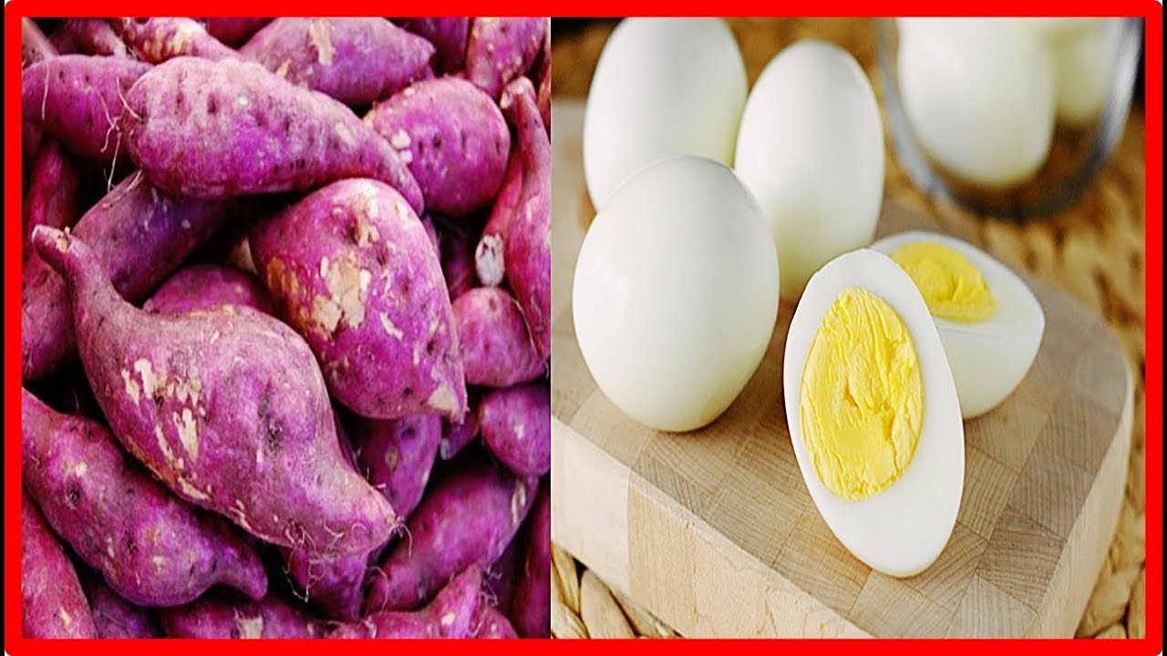 dieta de ovo e batata doce
