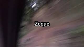 Zoque
