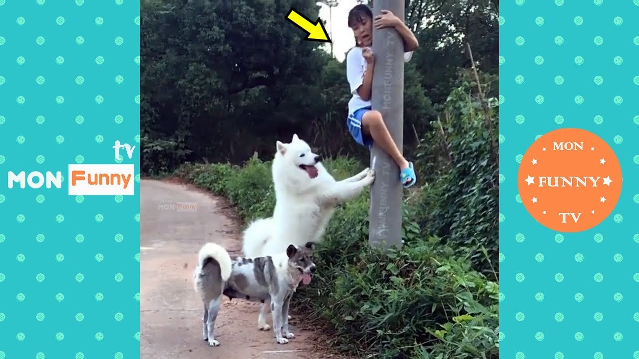 Dr Gulati39s Most Hilarious Perfomance The Kapil Sharma Show Comedy Show Best Of Dr Gulati - YouTube Auto PHP Script