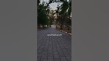 القارئ محمد البراك| سورة يس | القرآن الكريم