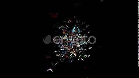 Butterfly | Motion Graphics - Envato elements