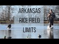 Arkansas Rice Field Duck Hunt 2021 - Full Limits