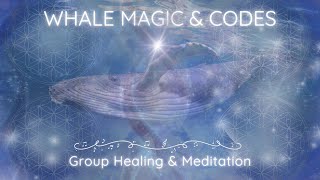Whale Magic & Codes Online Group Healing & Meditation - Introduction