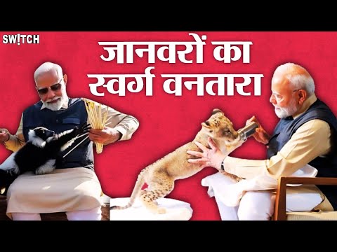 Vantara: जब जंगल के राजा को मिला नया जीवन! PM Modi | Jamnagar