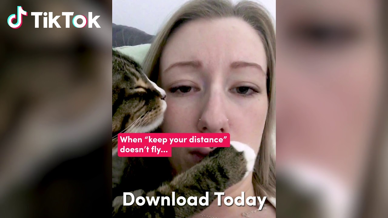 Jukin_PetDistance - Jukin_PetDistance