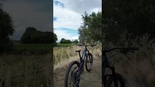 EVIL Insurgent MX GX | All Pronghorn bikes come with free service labor for 1 year |#mtb #evilbikes