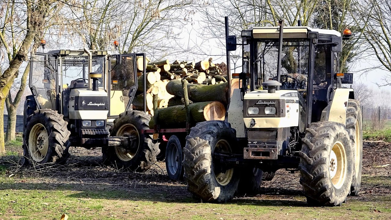 Lamborghini 1506 / 874-90 | Doosan DX62R | AZ. SPINELLO