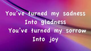 Planetshakers   Joy   with lyrics 2014