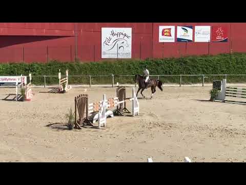 Felissia de Grandry - CC 5 ans Saint-Lô