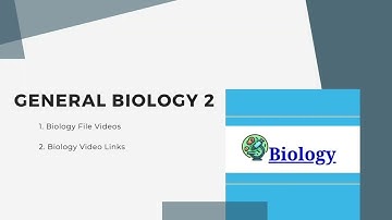 Capstone Project Video- Group 1