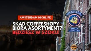 SKĄD HOLENDERSKIE COFFEESHOPY BIORĄ MATERIAŁ? SZOK! #amsterdam #holandia #emigracja