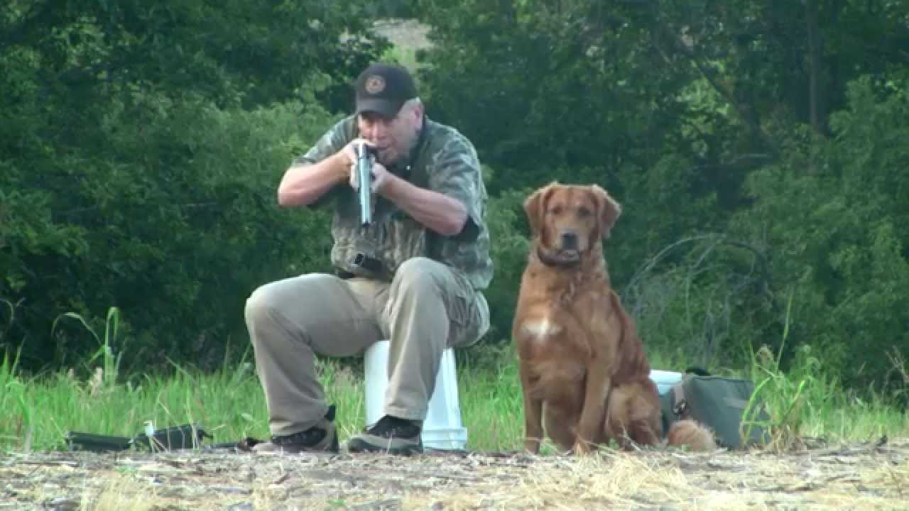 smartworks dog training