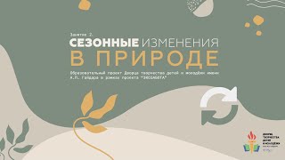 Экозабота. Занятие 2. Сезонные изменения в природе